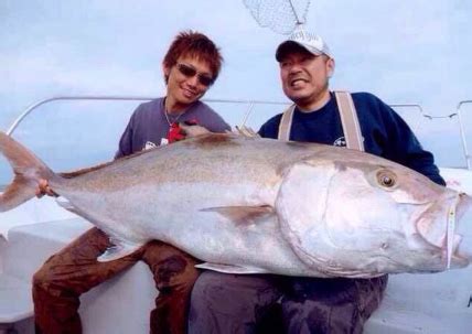 夢見釣到大魚|周公解夢中對夢見魚的解釋